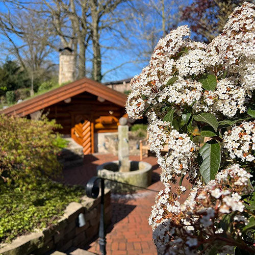 Frühlingsluft Arrangement